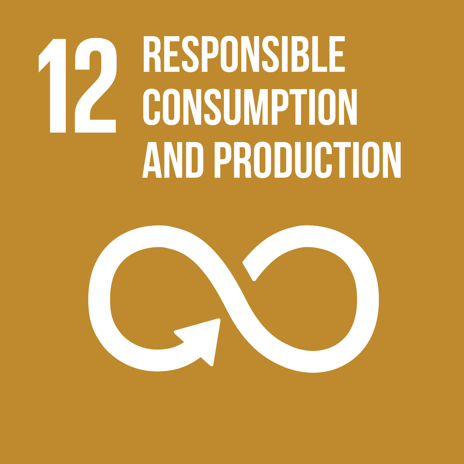 SDG 12-Responsible consumption and production