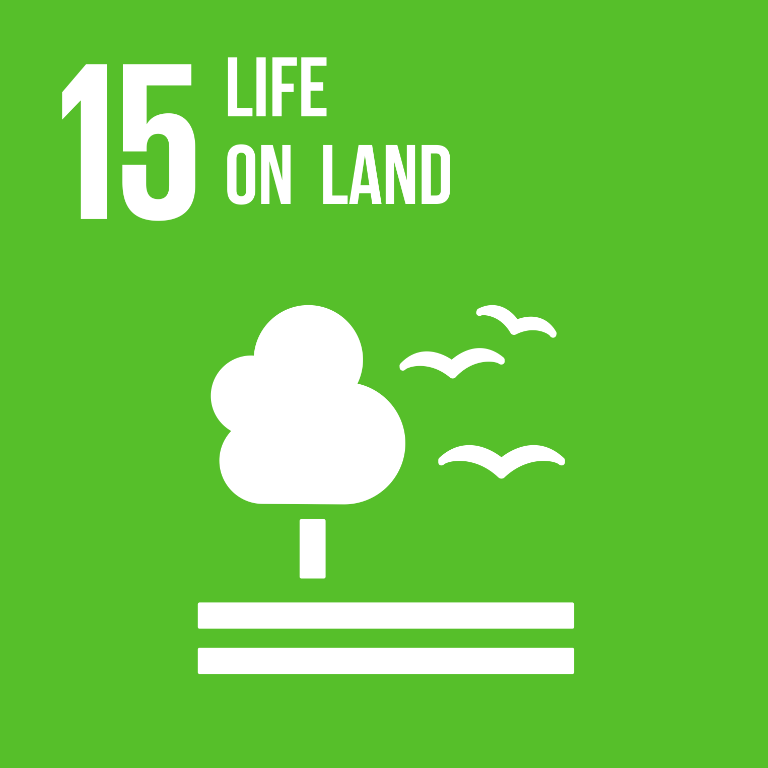 SDG 15-Life on land