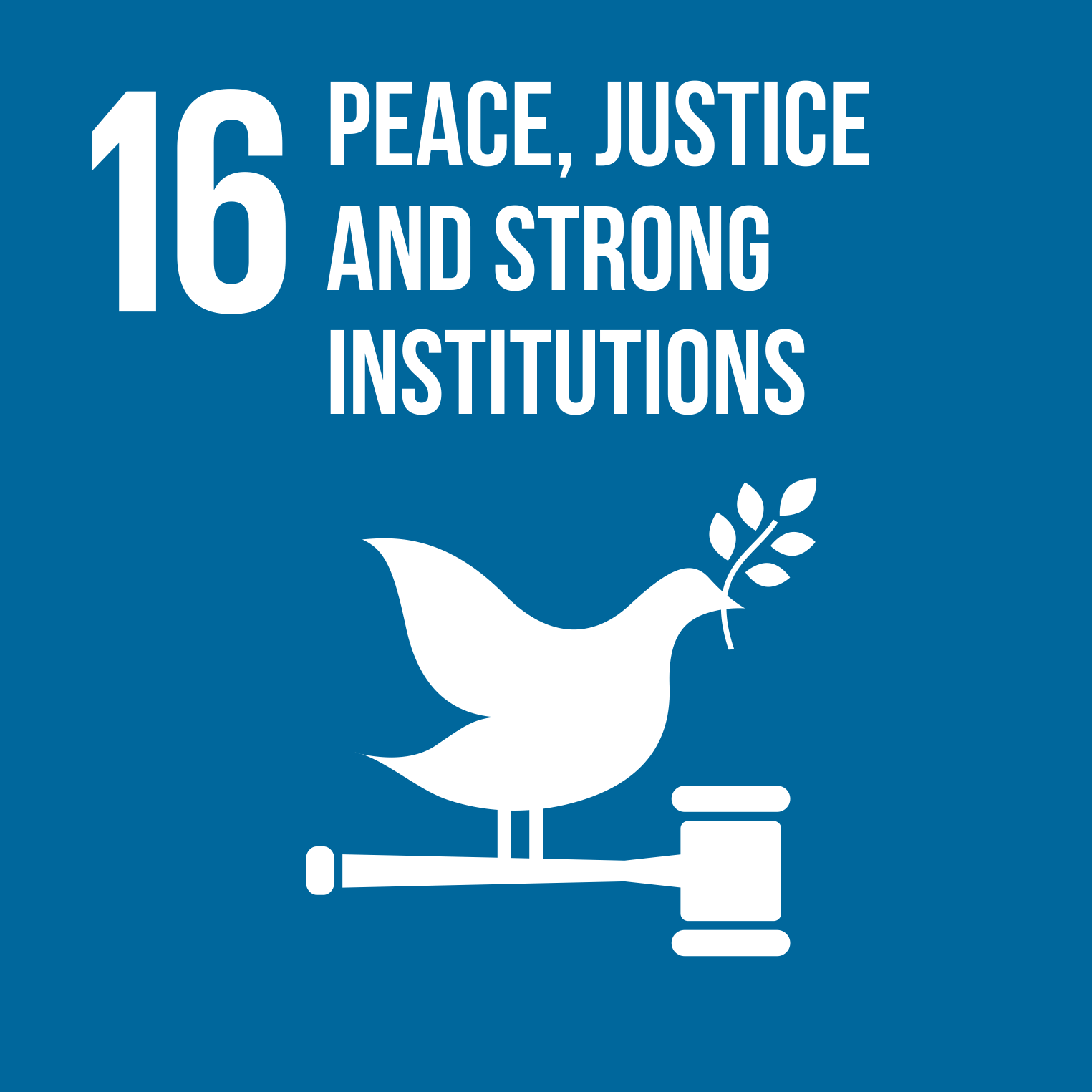 SDG 16-Peace justice and strong institutions