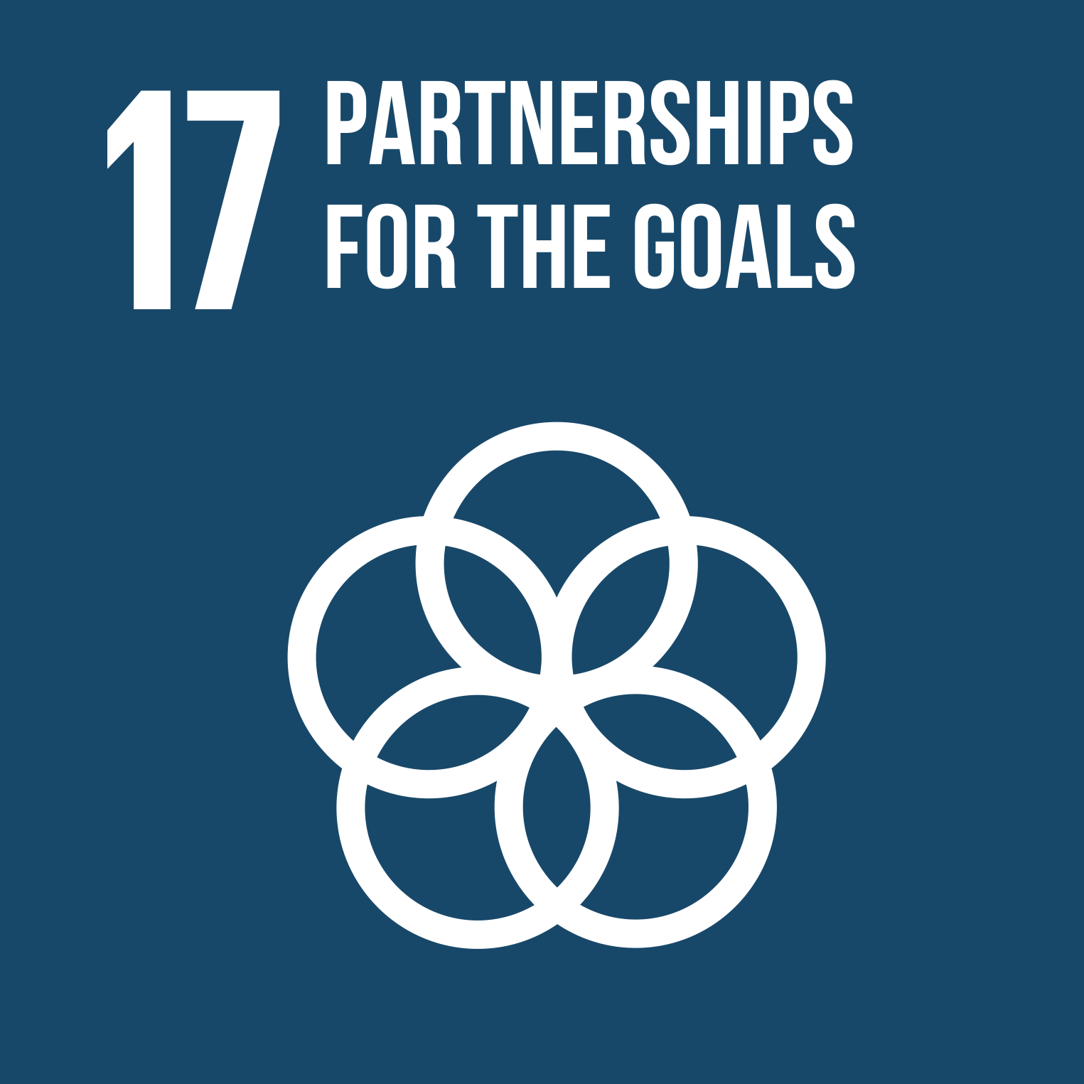 SDG 17-Partnerships for the goals