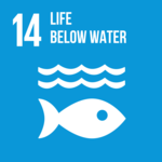 SDG 14