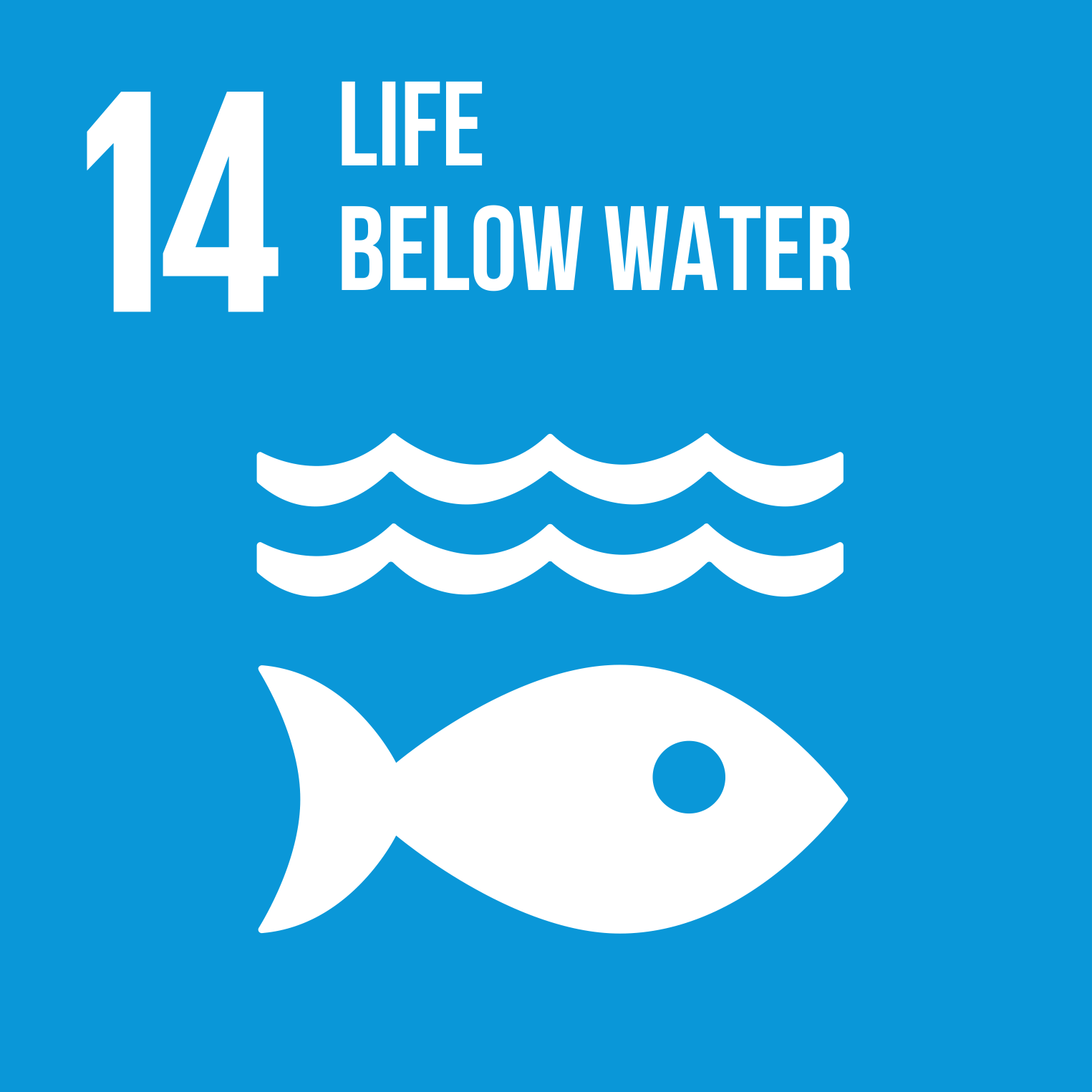 【SDG 14】Life Below Water